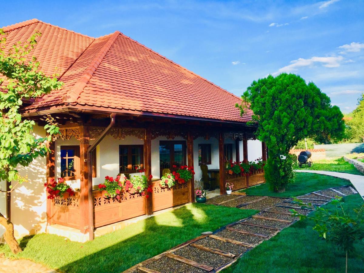 Conacul Grigorescu Ratesti Exterior photo